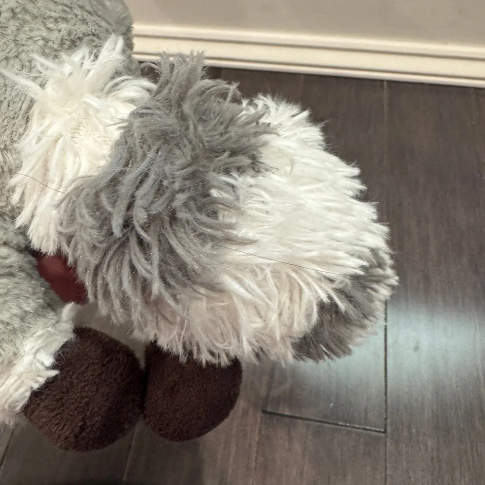 Bark Box Racoon Plush Toy for Pets Dogs